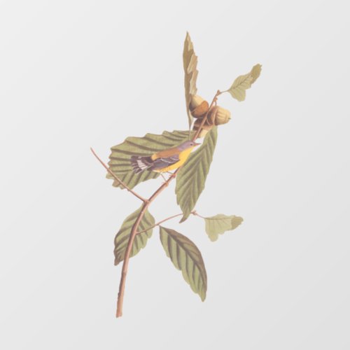 Vintage Audubon Magnolia Warbler Bird Window Cling