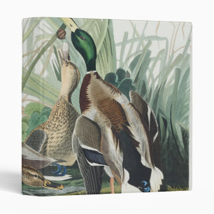 Vintage Audubon Mallard Duck Wildlife Art 3 Ring Binder
