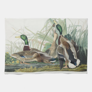 Vintage Audubon Mallard Duck Wildlife Art Kitchen Towel