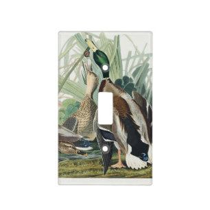 Vintage Audubon Mallard Duck Wildlife Art Light Switch Cover