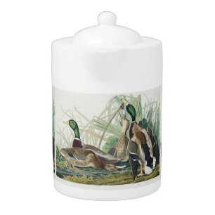 Vintage Audubon Mallard Duck Wildlife Art Teapot