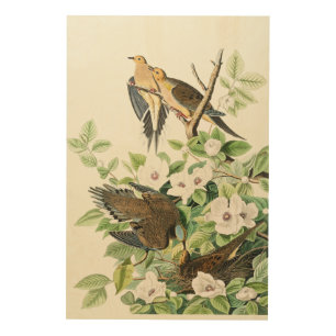 Vintage Audubon Mourning Dove Bird Flower Art