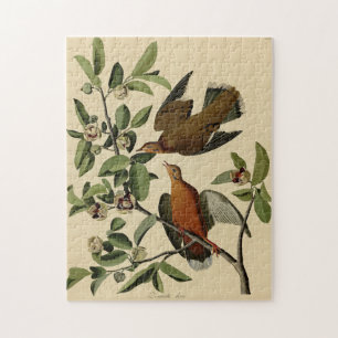 Vintage Audubon Mourning Dove Bird Painting Gift Jigsaw Puzzle