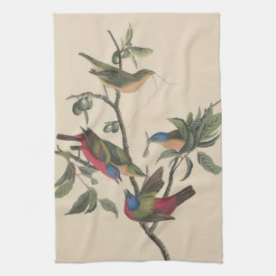 Vintage Audubon Painted Bunting Colorful Bird Art Kitchen Towel