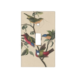 Vintage Audubon Painted Bunting Colorful Bird Art Light Switch Cover