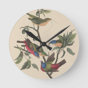 Vintage Audubon Painted Bunting Colorful Bird Art Round Clock