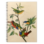 Vintage Audubon Painting Bunting Bird Painting  Notebook