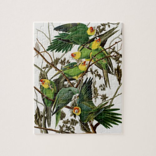 Vintage Audubon Painting Carolina Parakeet Jigsaw Puzzle