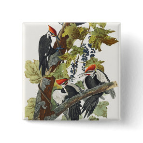 Vintage Audubon Pileated Woodpecker Bird Art Button