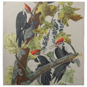 Vintage Audubon Pileated Woodpecker Bird Art Cloth Napkin