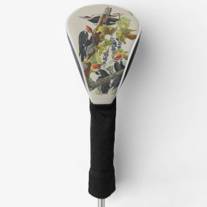 Vintage Audubon Pileated Woodpecker Bird Art Golf Head Cover