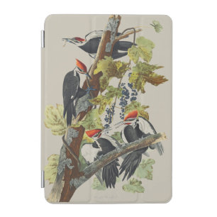 Vintage Audubon Pileated Woodpecker Bird Art iPad Mini Cover