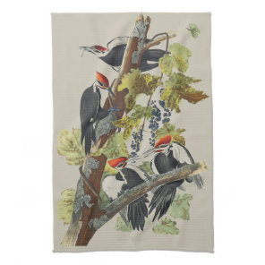 Vintage Audubon Pileated Woodpecker Bird Art Kitchen Towel