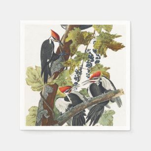 Vintage Audubon Pileated Woodpecker Bird Art Napkins