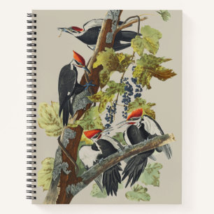 Vintage Audubon Pileated Woodpecker Bird Art Notebook