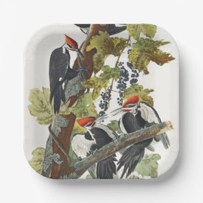 Vintage Audubon Pileated Woodpecker Bird Art Paper Plates