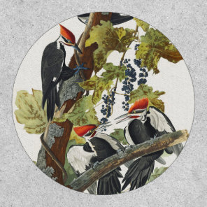 Vintage Audubon Pileated Woodpecker Bird Art Patch