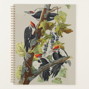 Vintage Audubon Pileated Woodpecker Bird Art Planner