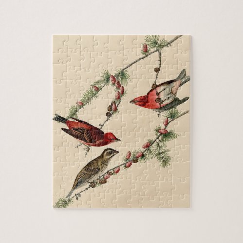 Vintage Audubon Purple Finch Painting  Jigsaw Puzzle