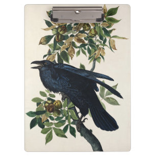 Vintage Audubon Raven Bird Nature Art Clipboard