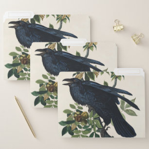 Vintage Audubon Raven Bird Nature Art File Folder