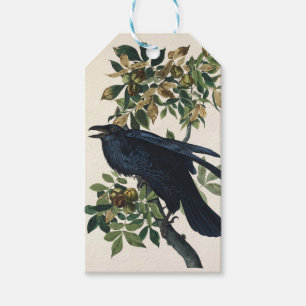 Vintage Audubon Raven Bird Nature Art Gift Tags
