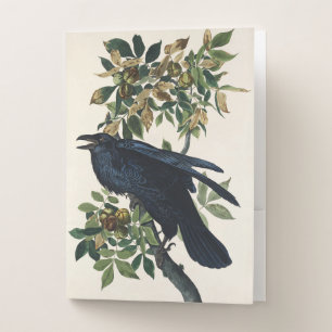 Vintage Audubon Raven Bird Nature Art Pocket Folder