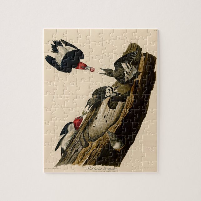 Vintage Audubon Red-Headed Woodpecker Painting Jigsaw Puzzle (Vertical)