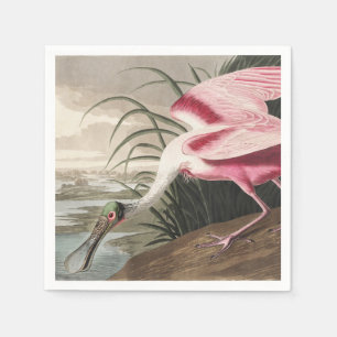 Vintage Audubon Roseate Spoonbill Bird Art Napkins
