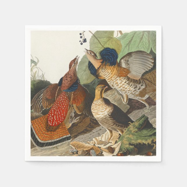 Vintage Audubon Ruffed Grouse Bird Nature Art Napkins (Front)
