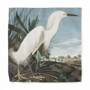 Vintage Audubon Snowy Heron White Egret Bird Art Bandana