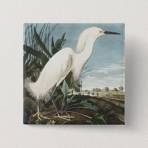 Vintage Audubon Snowy Heron White Egret Bird Art Button