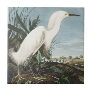 Vintage Audubon Snowy Heron White Egret Bird Art Ceramic Tile