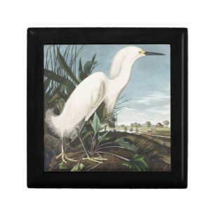 Vintage Audubon Snowy Heron White Egret Bird Art Gift Box