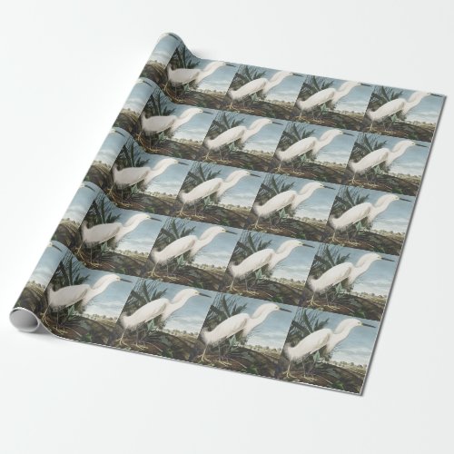 Vintage Audubon Snowy Heron White Egret Bird Art Wrapping Paper