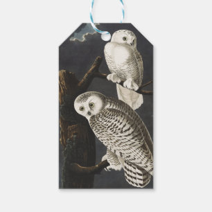 Vintage Audubon Snowy Owl Night Bird Art Gift Tags