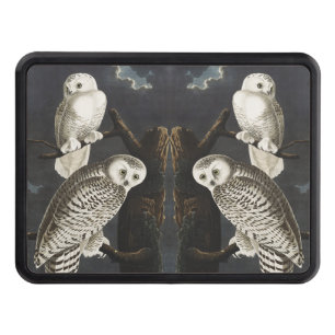 Vintage Audubon Snowy Owl Night Bird Art Hitch Cover