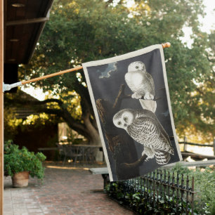 Vintage Audubon Snowy Owl Night Bird Art House Flag