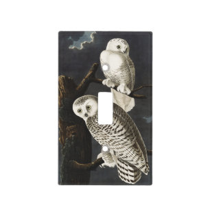 Vintage Audubon Snowy Owl Night Bird Art Light Switch Cover