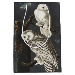 Vintage Audubon Snowy Owl Night Bird Art Medium Gift Bag
