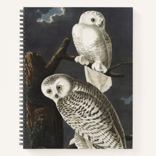Vintage Audubon Snowy Owl Night Bird Art Notebook