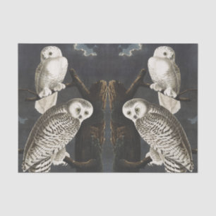 Vintage Audubon Snowy Owl Night Bird Art Tissue Paper
