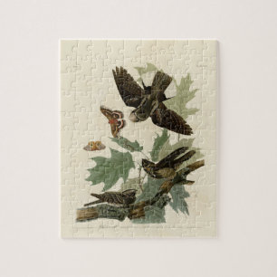 Vintage Audubon Whip-poor-will Painting Gift Jigsaw Puzzle