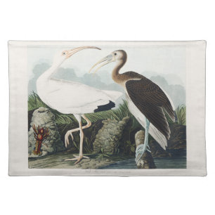 Vintage Audubon White Ibis Bird Nature Art Cloth Placemat