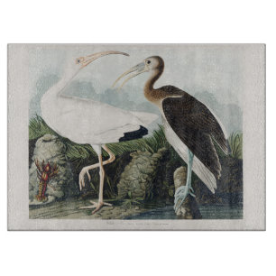 Vintage Audubon White Ibis Bird Nature Art Cutting Board