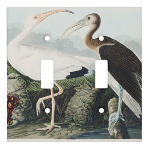 Vintage Audubon White Ibis Bird Nature Art Light Switch Cover