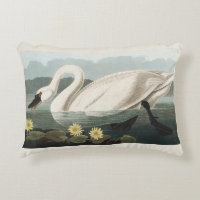 Vintage Audubon White Swan Water Lily Art