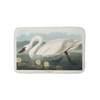 Vintage Audubon White Swan Water Lily Art