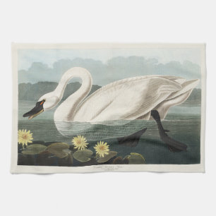 Vintage Audubon White Swan Water Lily Art Kitchen Towel