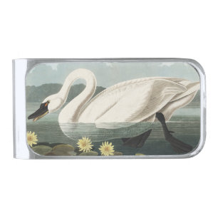Vintage Audubon White Swan Water Lily Art Silver Finish Money Clip